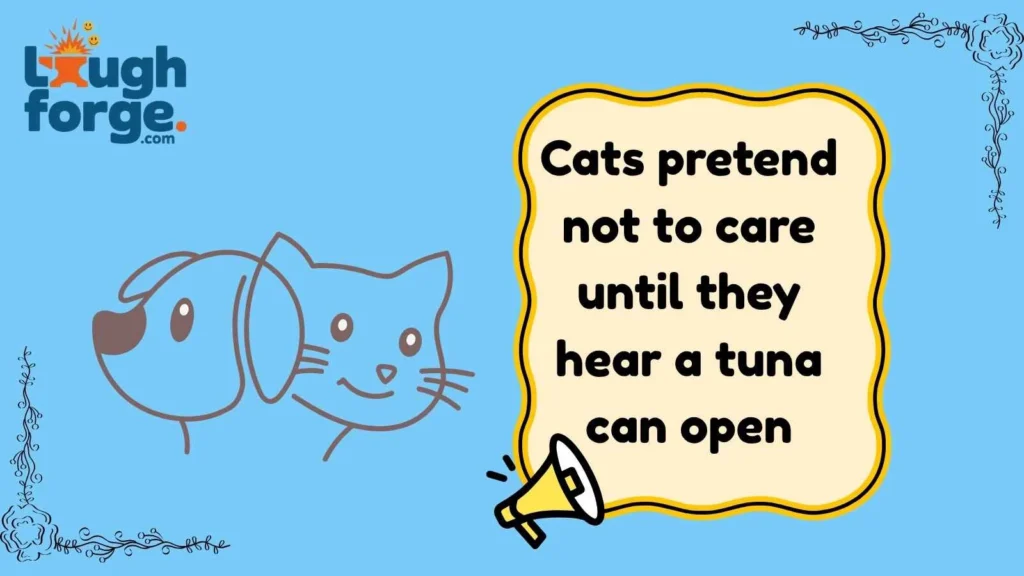 Cat Jokes With Serious Attitude