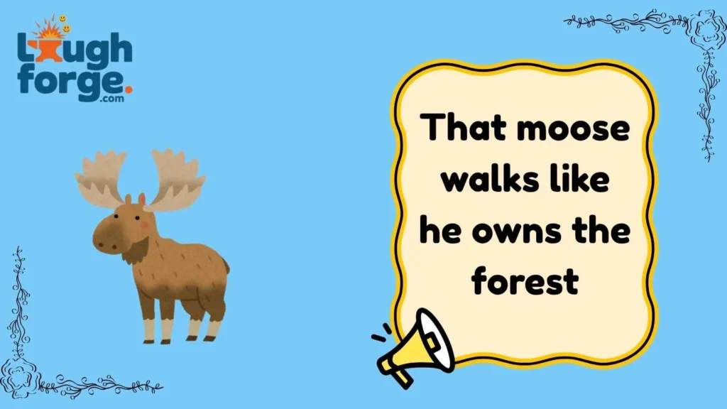 Moose One-Liners That Hit Fast