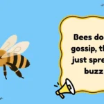 Bee Jokes