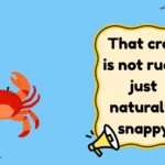 Crab Jokes