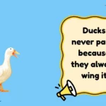 Funny Duck Jokes