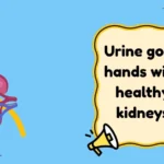 Kidney Jokes