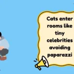 Pet Jokes